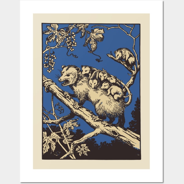 Opposum vintage engraving Wall Art by Dystopianpalace